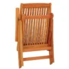 Chaises de jardin pliables lot de 2 Bois d'eucalyptus massif