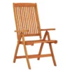 Chaises de jardin pliables lot de 2 Bois d'eucalyptus massif