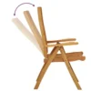 Chaises de jardin pliables lot de 2 Bois d'eucalyptus massif